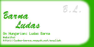 barna ludas business card